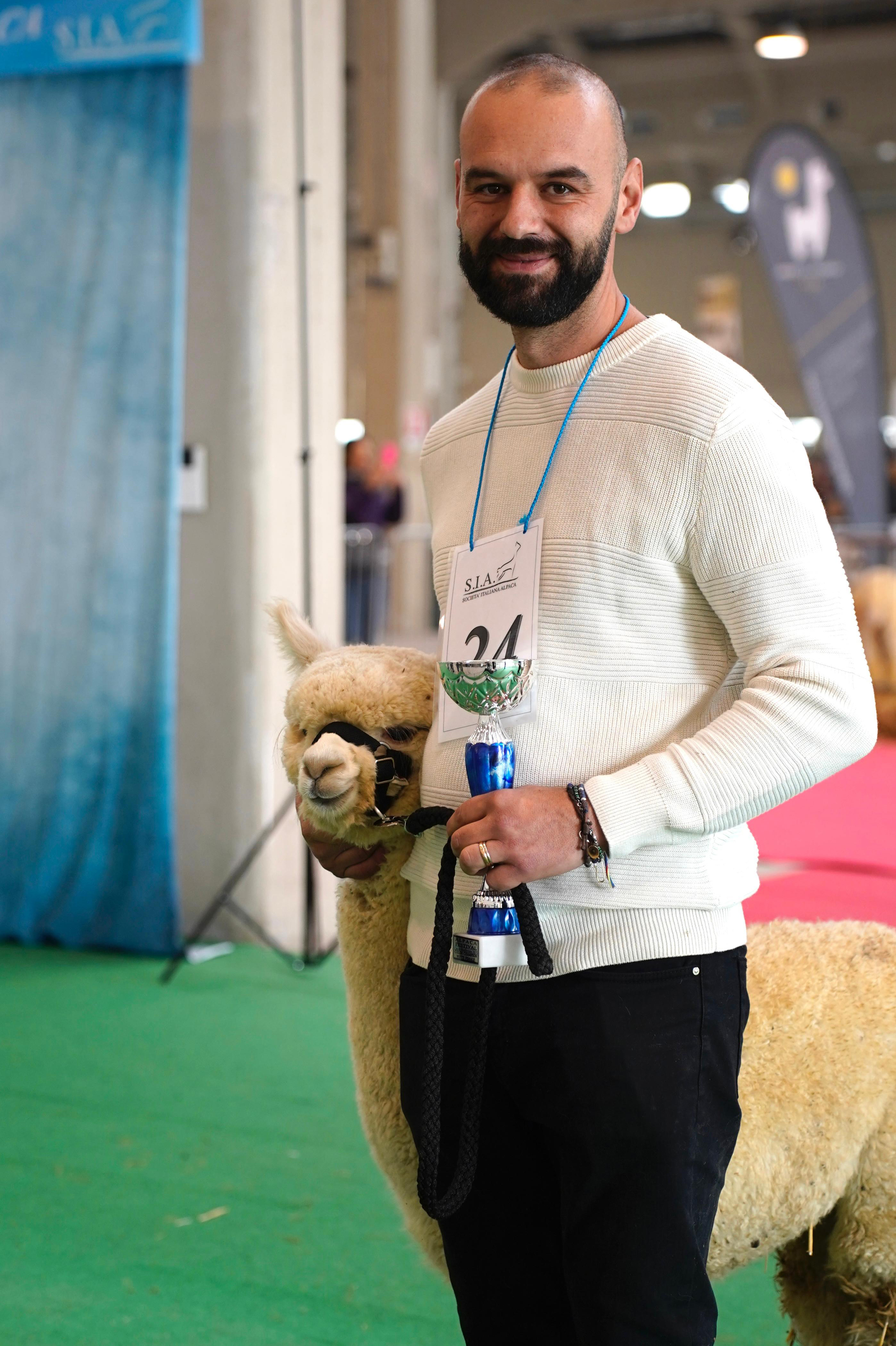 Alpaca
